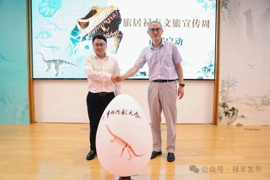 沪滇携手共绘恐龙文化新篇 “龙吟九州”大展掀起科普文旅热潮