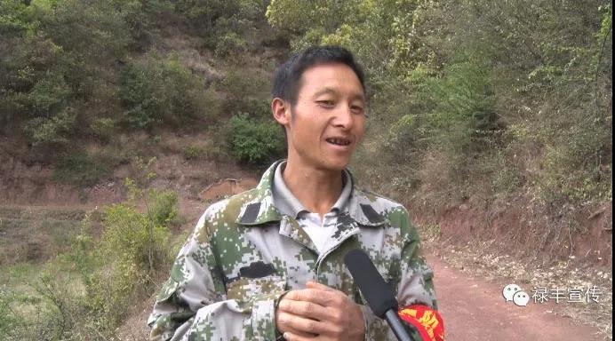 妥安乡:主动思谋求发展 村集体经济稳增长-禄丰市人民政府网站