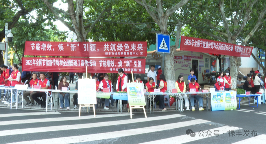 禄丰市开展全国节能宣传周和全国低碳日宣传活动
