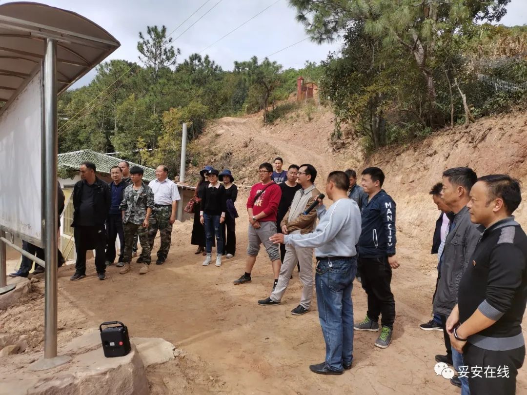 党建引领添动力,凝心聚力促发展-禄丰市人民政府网站