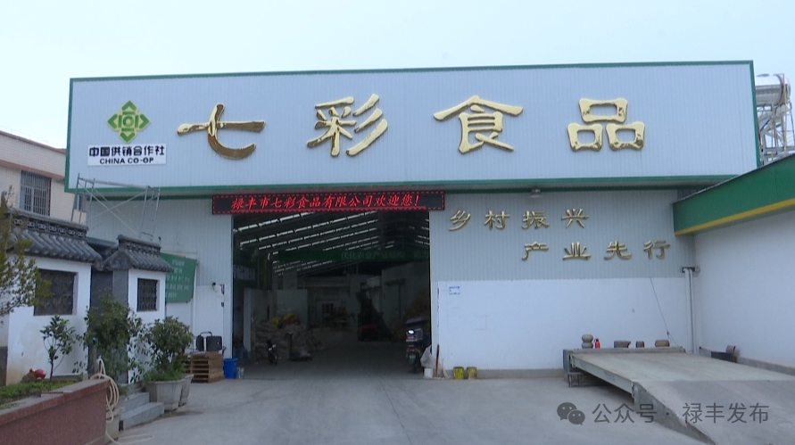 禄丰供销社：“以租代建”为“沉睡”资产注入增收“活水”