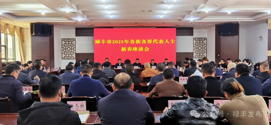 禄丰市召开2025年各族各界代表人士新春座谈会