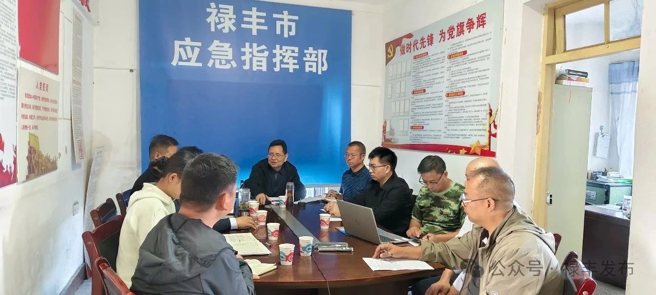 赖有常在禄丰市防汛调度应对会议上强调： 认识再提高 防汛措施再加强