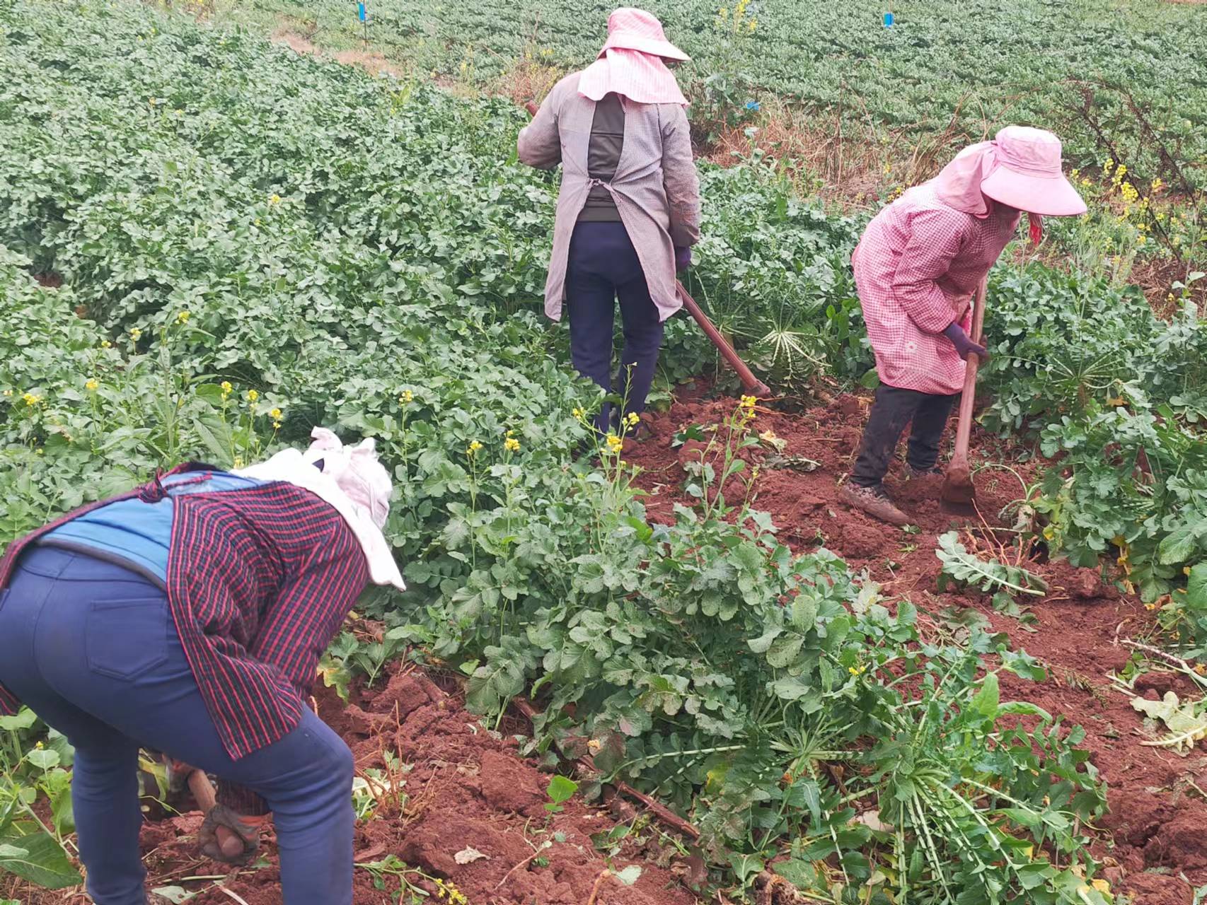 7806f992c034e7d433e9c47d83e794a.jpg 7806f992c034e7d433e9c47d83e794a.jpg